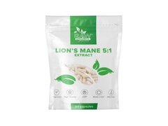 Lion's Mane Extract 5:1 (Coama leului) 500 mg 90 Capsule, Raw Powders